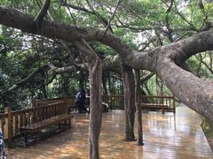 -青芝山风景名胜区