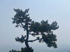 -天津盘山风景名胜区