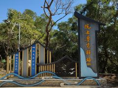 -广东惠东海龟国家级自然保护区