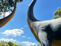 -森波拉奇妙世界