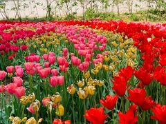 -国家植物园南园