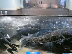 -上名堂·鱼头好吃(体育场路店)