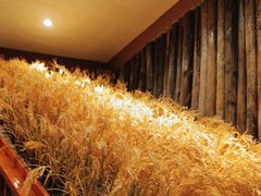 -耕渔小院·湖南鱼鲜(望城店)