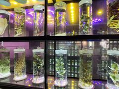 -广东中医药博物馆
