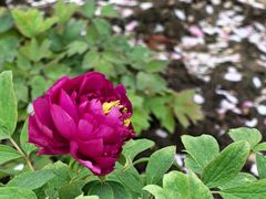 -江南大学(蠡湖校区)