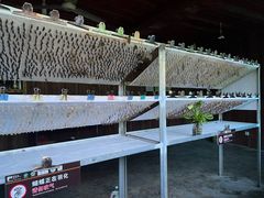 -野象谷景区