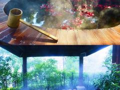 -余姚阳明温泉山庄