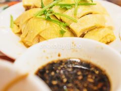 白斩鸡-振鼎鸡(福州路店)
