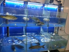 水产区-百家鲜·杭帮菜