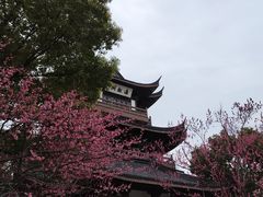-范蠡湖公园