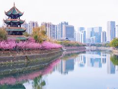 -望江楼公园