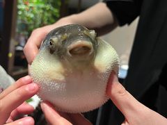 -肆月河豚·淮扬菜·湘菜(华天店)
