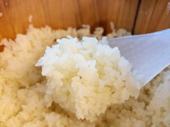 米饭-贺阿又布依酸笋鱼