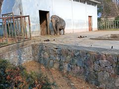 -合肥野生动物园