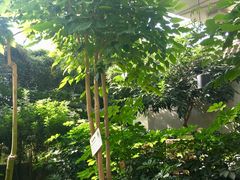 -汤山翠谷生态餐厅