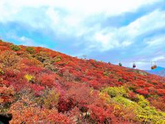 -周口店坡峰岭风景区