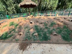 -秦皇岛野生动物园