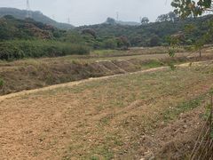 -清溪大王山森林公园
