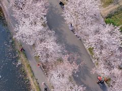 -长田漾湿地公园