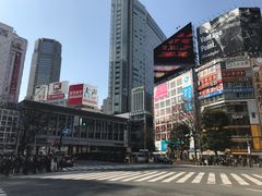 -涩谷全向十字路口