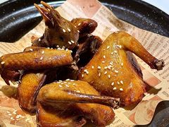 -鸽小宝(深圳首店)