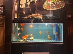 -C31地窖餐厅(黑龙江北路店)