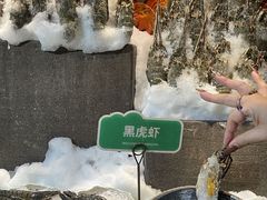 -亚马逊蒸汽活海鲜自助(LCM置汇旭辉广场店)