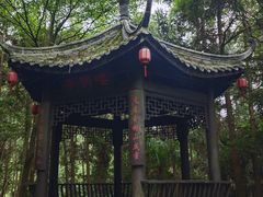 -窦圌山风景区