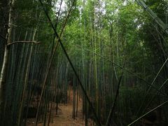 -达蓬山旅游度假区