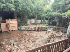 -长鹿旅游休博园
