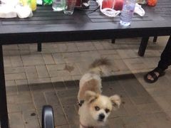 -梨木台悦来客农家院
