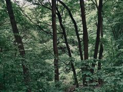 -香炉山国家森林公园
