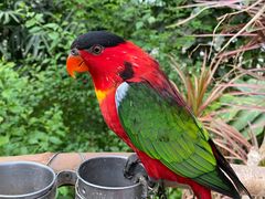 -南宫五洲植物乐园