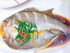 -沪华海鲜大酒楼(南汇店)