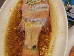 清蒸东星斑-海景壹号大酒店(滨湖店)