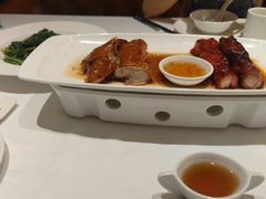 -尚一汤·粤菜海鲜(汇智国际商业中心店)