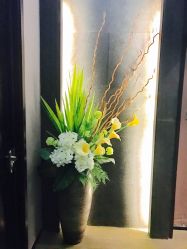 -史云逊养发中心