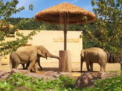 -长白岛森林公园