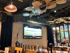 -Paulaner·德国帕拉娜自酿啤酒餐厅(海上世界店)