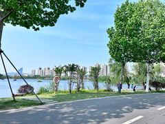 -洋湖国家湿地公园