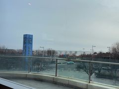 -真味海鲜坊