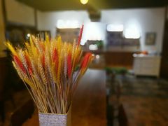 -麦落精酿啤酒餐吧(先农大院店)