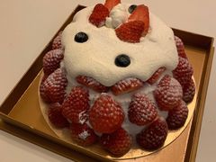 富士山-布歌东京(常州购物中心店)