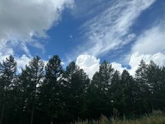 -塞罕坝国家级自然保护区