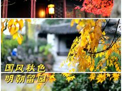-留园
