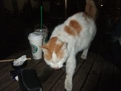 DSCF1971-星巴克臻选(广州沙面店)