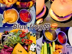 -bluefrog蓝蛙(皇庭广场店)