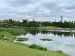 -武汉园博园(武汉自然博物馆)