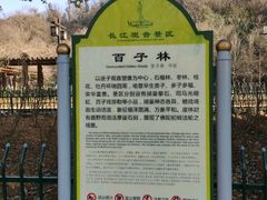 -幕燕滨江·长江观音景区