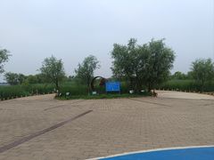 -绿堤公园